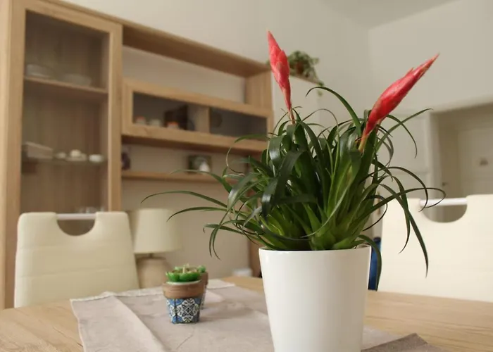 Ohana: Casa Nel Centro Di Lecce