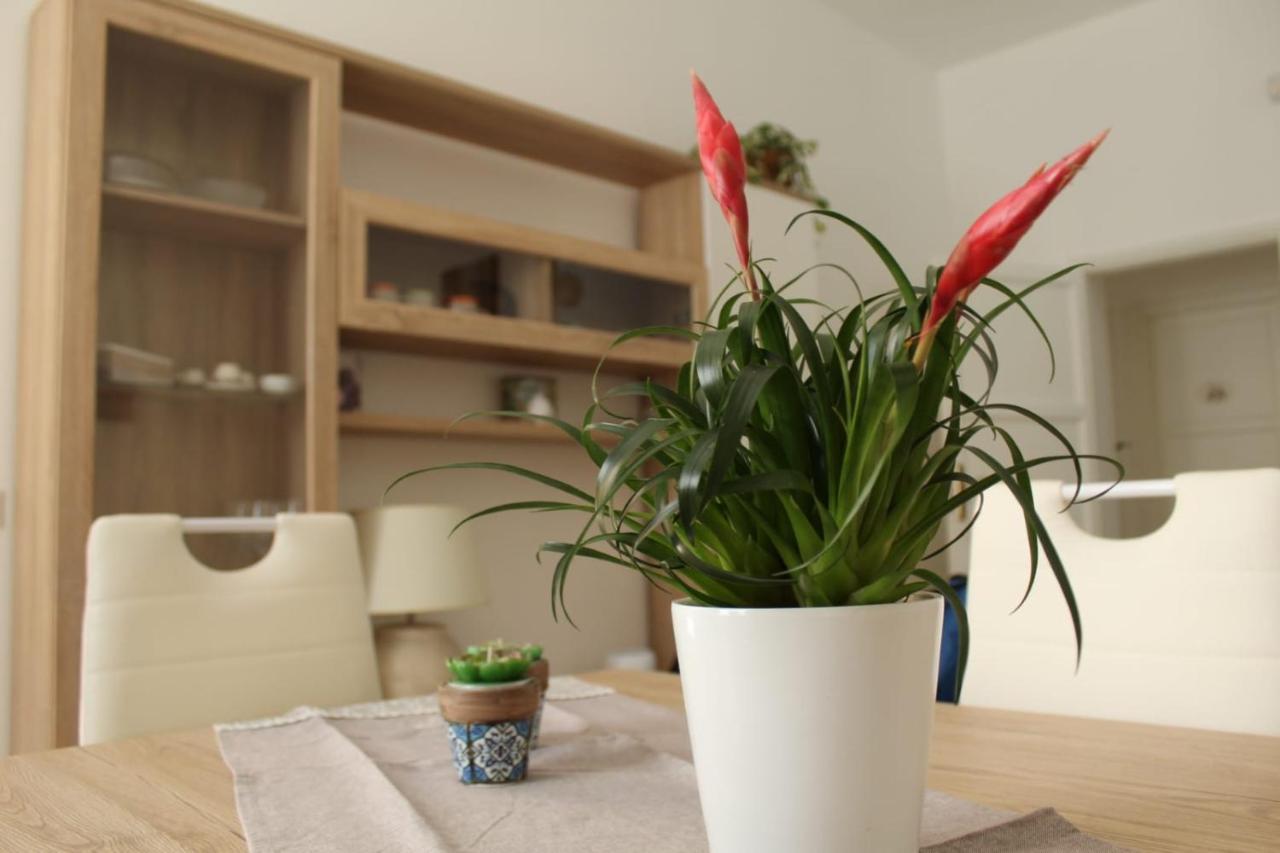 Ohana: Casa Nel Centro Di Holiday home Lecce